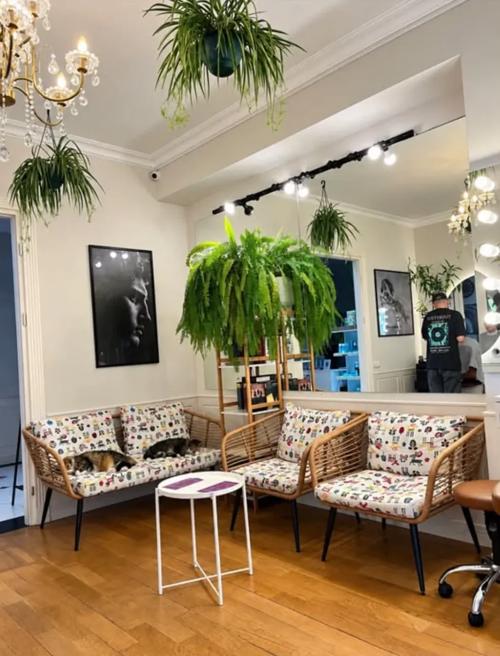 Salon Sajaia