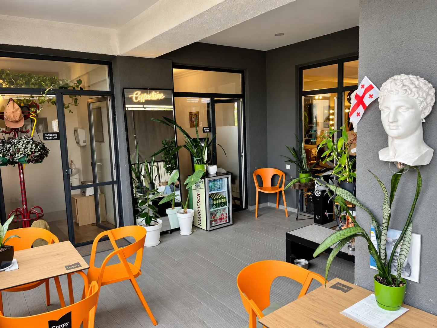 Salon Sajaia
